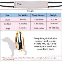 Dog Back Leg Support Harness for Mobility Assistance