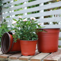 Two-Tone Soft Plastic Nursery Pots for Succulents and Green Plants