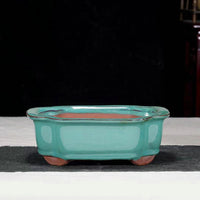 Glazed Ceramic Succulent Planter Pot for Indoor Plants