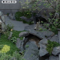 Taihu Rock Garden Landscape Stone for Water Features and Courtyard Decor