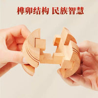 Kongming Luban Lock Puzzle Set for Kids and Adults