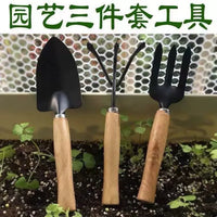 Gardening Tool Set for Potted Plants and Succulents, Includes Trowel, Shovel, and Cultivator