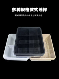 Turtle Hatchling Isolation Box with Lid and Feces Separation Plate