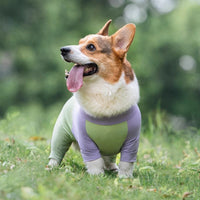 Dog Summer Cooling Sun Protection Jumpsuit for Outdoor Activities
