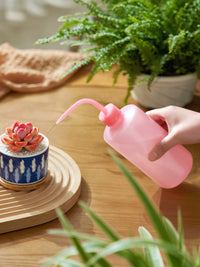Succulent Watering Bottle with Long Spout, Squeeze Bottle for Precision Watering and Cleaning, Gardening Tool