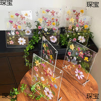 Handmade Acrylic DIY Frame with Dried Flowers, Preschool Graduation Plant Specimen Frame for Kids