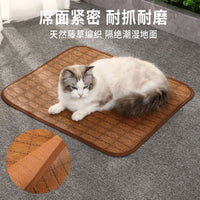 Pet Cooling Mat for Dogs and Cats, Summer Ice Silk Sleeping Pad