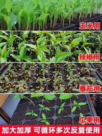 Thickened Seedling Trays for Corn, Watermelon, Pepper, and Vegetable Plants - 100-Pack