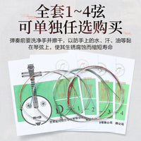 Professional Zhongruan Strings Set for Chinese Lute Folk Instrument