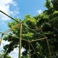 Plant Climbing Net for Fruits and Vegetables, Trellis Netting for Vines, Loofah, Bitter Gourd, Passion Fruit, and Beans