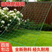 Plant Climbing Net for Vegetables, Cucumbers, Loofahs, and Beans - Durable Garden Trellis Netting with Edging Rope
