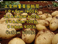Biodegradable Seedling Starter Paper Pots for Plant Propagation