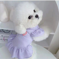 Pet Dog Cat Princess Dress for Small to Medium Breeds - Sweetheart Design Spring/Summer Apparel