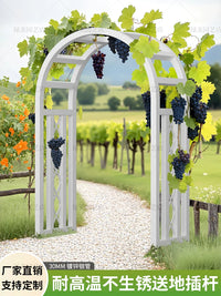European Style Metal Garden Arch for Climbing Plants, Roses, and Vines - Outdoor Trellis for Villas and Courtyards