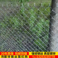 Galvanized Chain Link Fence for Poultry & Livestock Enclosures, Farm & Orchard Protection