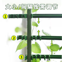Garden Plant Support Stakes for Climbing Vines, Tomatoes, Peppers, and Eggplants