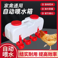 Automatic Poultry Waterer Drinking Bowl for Chickens Ducks Geese