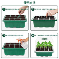 Seedling Starter Tray Kit with Humidity Dome - 12-Cell Plant Germination Station for Succulents