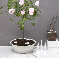 Root Rot Prevention Pot Drainage Cone for Potted Plants