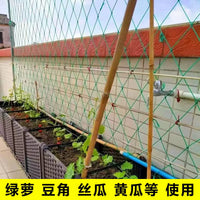 Heavy-Duty Plant Climbing Net for Passion Fruit, Loofah, and Other Vining Plants - Garden Trellis Netting for Fruits and Vegetables