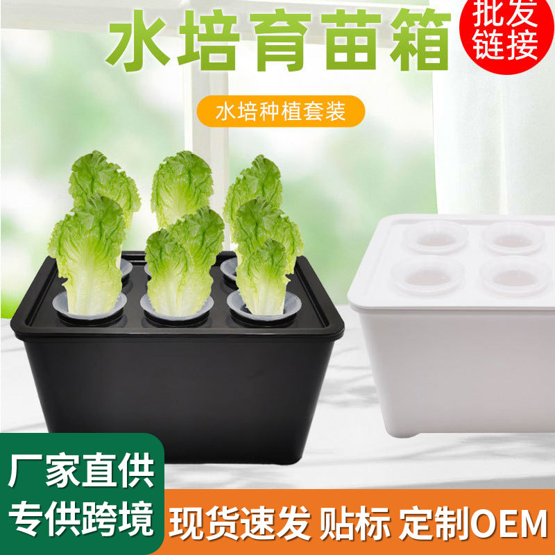 Hydroponic Growing System Indoor Soilless Planter Box for Home Gardening