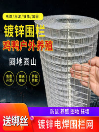 Galvanized Steel Wire Mesh Fence for Poultry, Rabbit, Bird Enclosures, Garden Barriers, and Rodent Protection