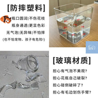 Mini Desktop Clear Fish Tank for Office Living Room, Small Ecological Aquarium