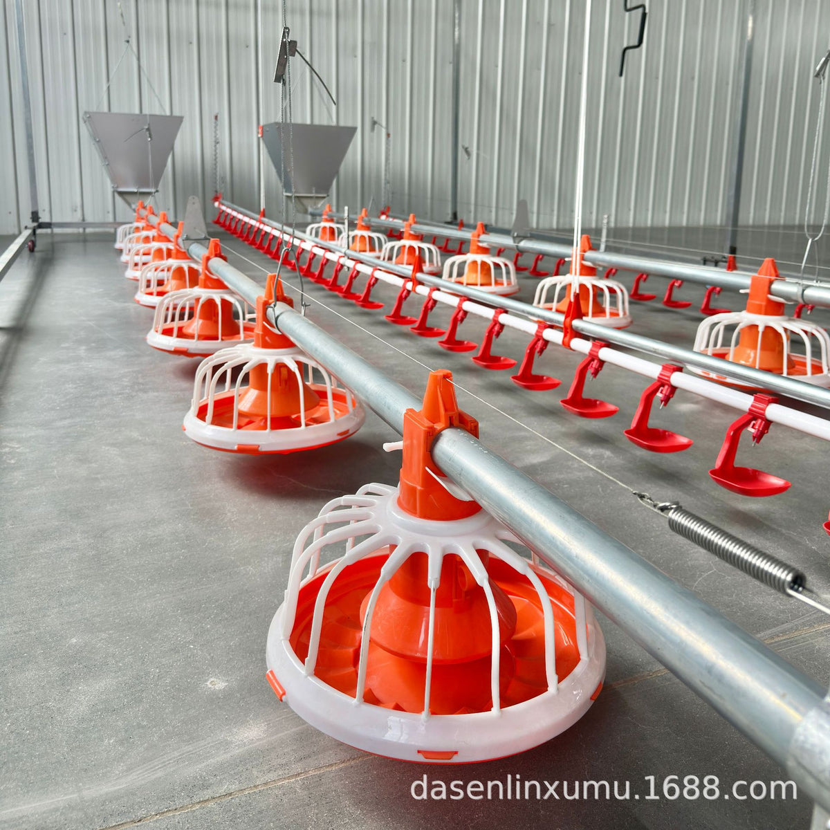 Automatic Poultry Feeder and Drinker System for Geese and Ducks