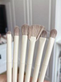 Zero Morandi 10/12-Piece Makeup Brush Set for Eyeshadow, Blush, and Concealer