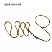 Dog Training Slip Leash Anti-Pull P-Chain for All Breeds