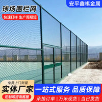 Hot-Dip Galvanized PVC Coated Chain Link Fence for Sports Fields