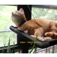 Cat Window Hammock Bed with Suction Cups for Sunbathing, Pet Perch Swing