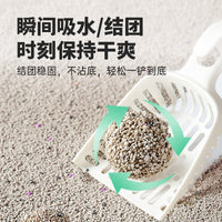 Bentonite Cat Litter, Low Dust, Odor Control, Clumping Formula, 10kg/20kg