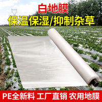 Agricultural Mulch Film for Greenhouse and Vegetable Cultivation, White Plastic Ground Cover for Winter Protection