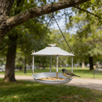 Squirrel-Proof Hanging Bird Feeder for Outdoor Garden Decor