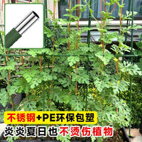 爬藤架葡萄黄瓜豆角架植物支撑杆种菜花支架园艺户外庭院西红柿架.. 绿色 直径16mm长120cm【10支】送扎带