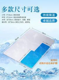 Pet Cooling Aluminum Plate for Small Animals - Hamster, Rabbit, Chinchilla Summer Heat Relief Pad
