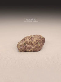 Miniature Landscape Simulation Rock and Driftwood Ornaments for Micro-Landscaping