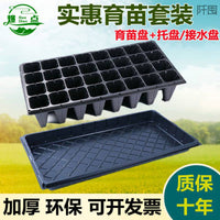 Seedling Starter Trays with Drip Trays for Vegetables and Succulents