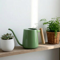 Stainless Steel Watering Can for Indoor Plants, Succulents, and Flowers, 1000ml