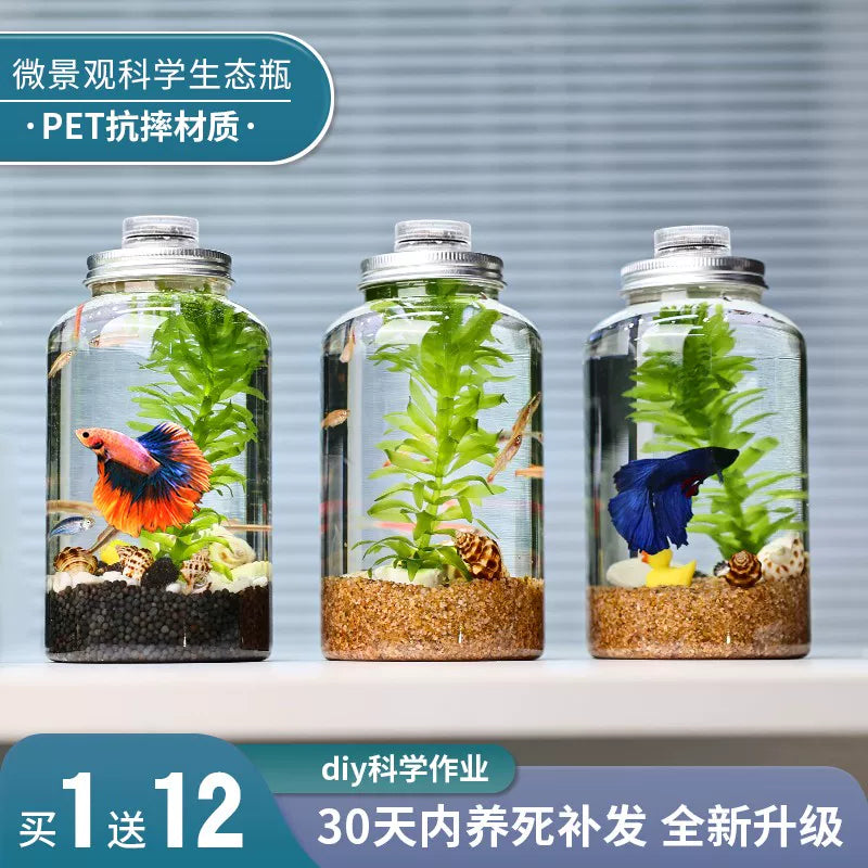 Creative Ecosystem Bottle Micro Landscape Betta Fish Tank, Self-Cleaning Desktop DIY Aquarium