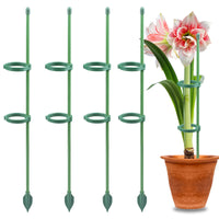 Adjustable Plant Support Stakes for Potted Plants - Monstera, Climbing Vines, and Flowers
