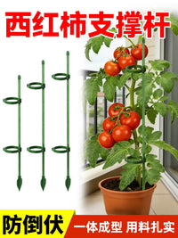 Plant Support Stakes for Tomatoes, Peppers, and Climbing Plants - Anti-Toppling Garden Support Rods