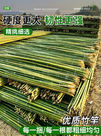Durable Anti-Corrosion Bamboo Poles for Garden Trellis, Flagpoles, Cucumber and Bean Climbing Vines, and Fences