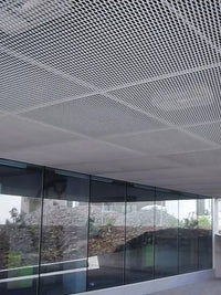 Decorative Aluminum Expanded Mesh Panel for Ceilings and Facades