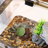 Turtle Tank with Basking Platform, Small Aquarium for Aquatic Pets, Plastic Turtle Habitat with Escape-Proof Ring