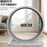 Cat Treadmill Exercise Wheel with Anti-Pinch Design for Pet Fitness and Play