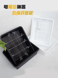 Turtle Hatching and Rearing Box with Lid - Isolation, Incubation, and Waste Separation for Aquatic Reptiles