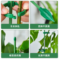Tomato Plant Support Stakes with Clips and Ground Plugs for Climbing Vegetables and Flowers