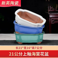 Glazed Ceramic Succulent Planter Pot for Indoor Plants
